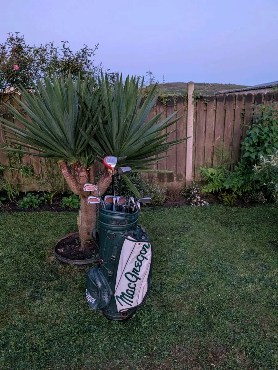 TaylorMade Golf clubs and rossa spider putter - Image 1