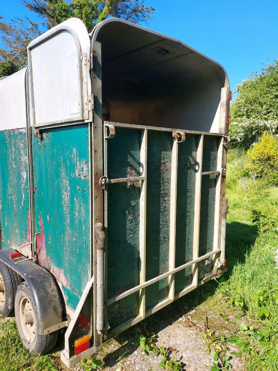 Horsebox - Image 3