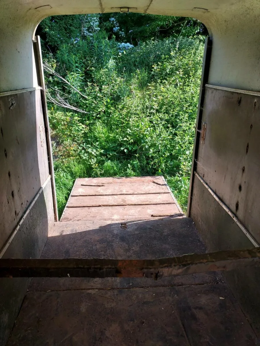 Horsebox - Image 4