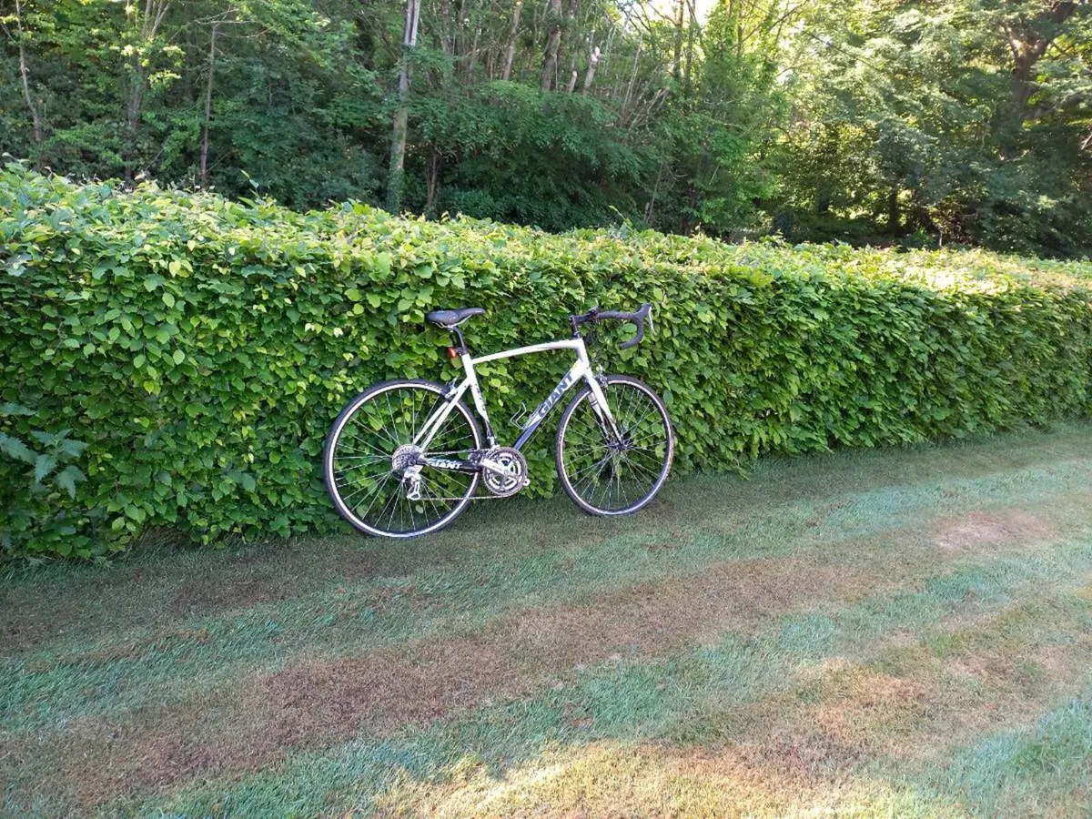 Giant Defy 4 racer - Image 1