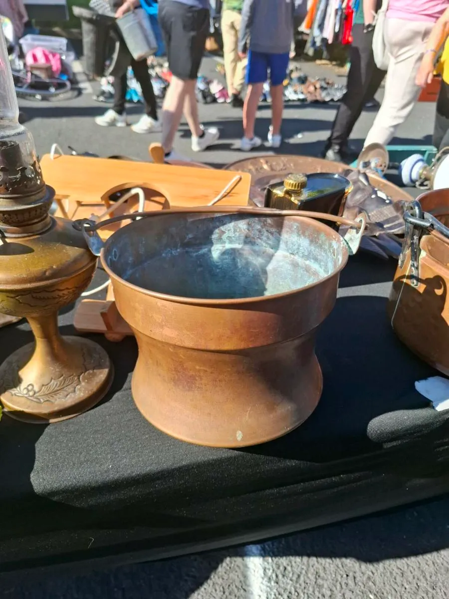 Copper pot planter