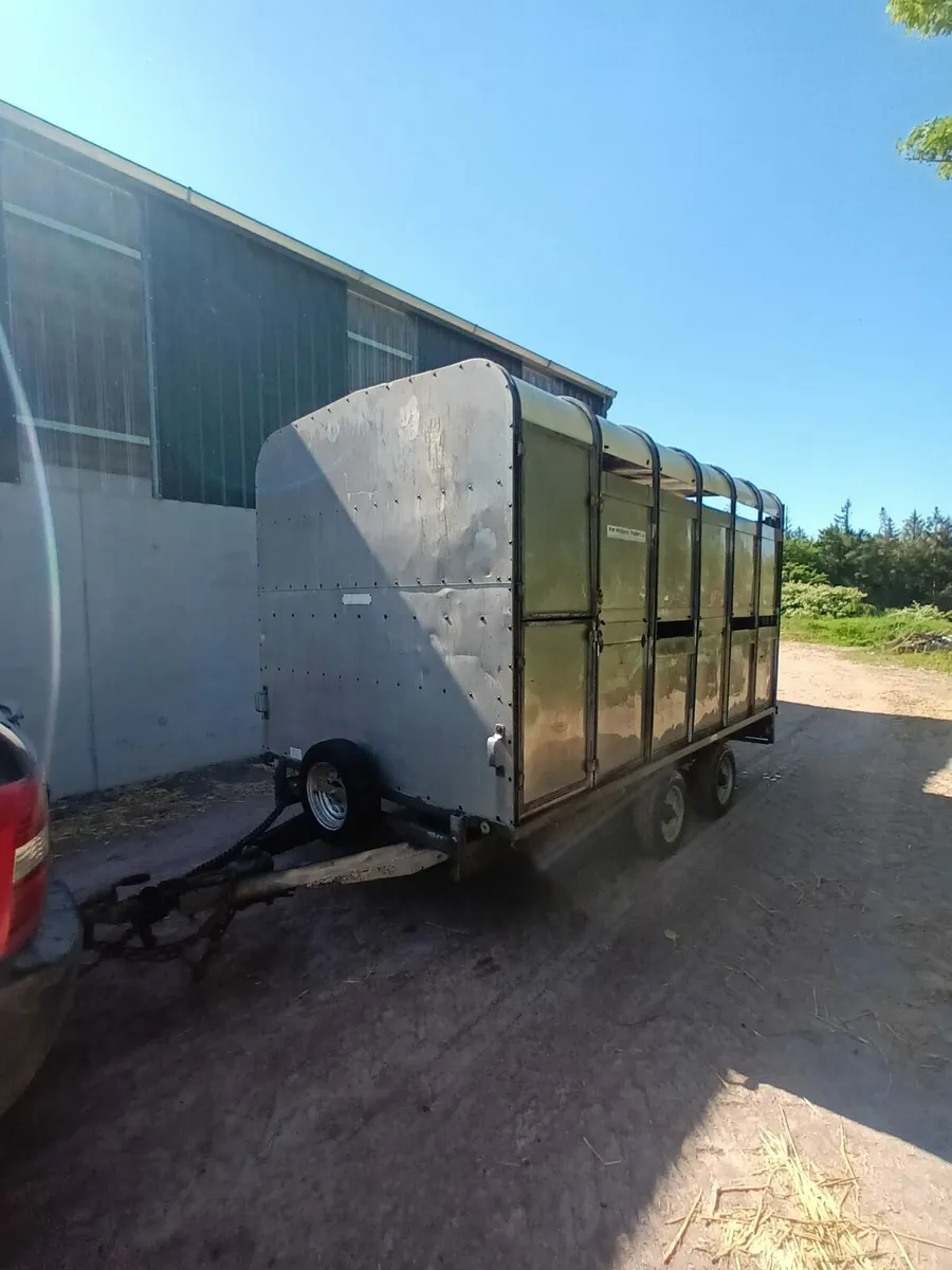 Ifor Williams 12ft x 6ft 6 cattle box - Image 2