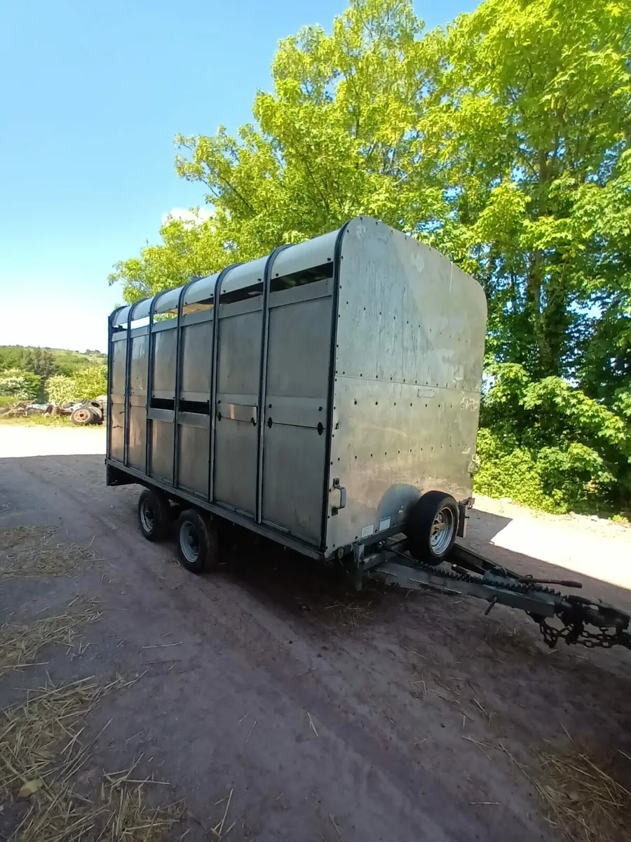 Ifor Williams 12ft x 6ft 6 cattle box - Image 1