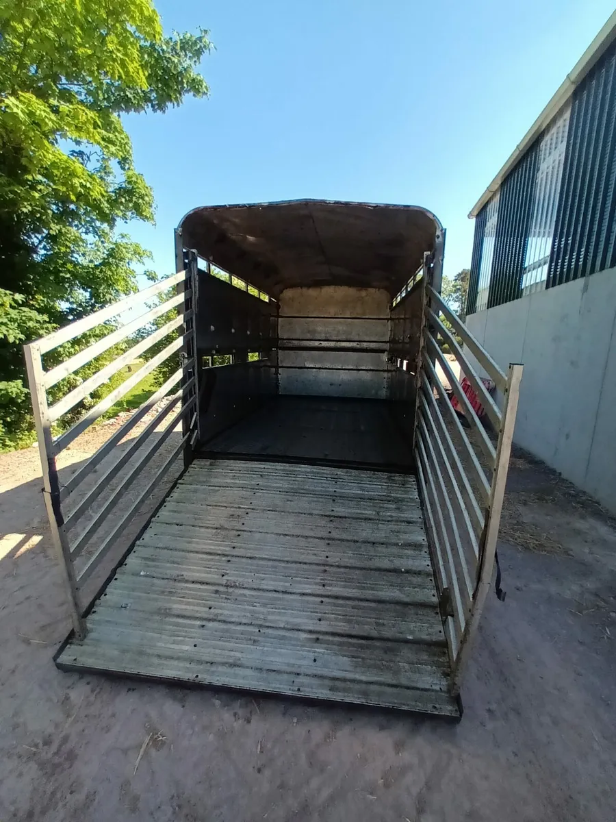 Ifor Williams 12ft x 6ft 6 cattle box - Image 4