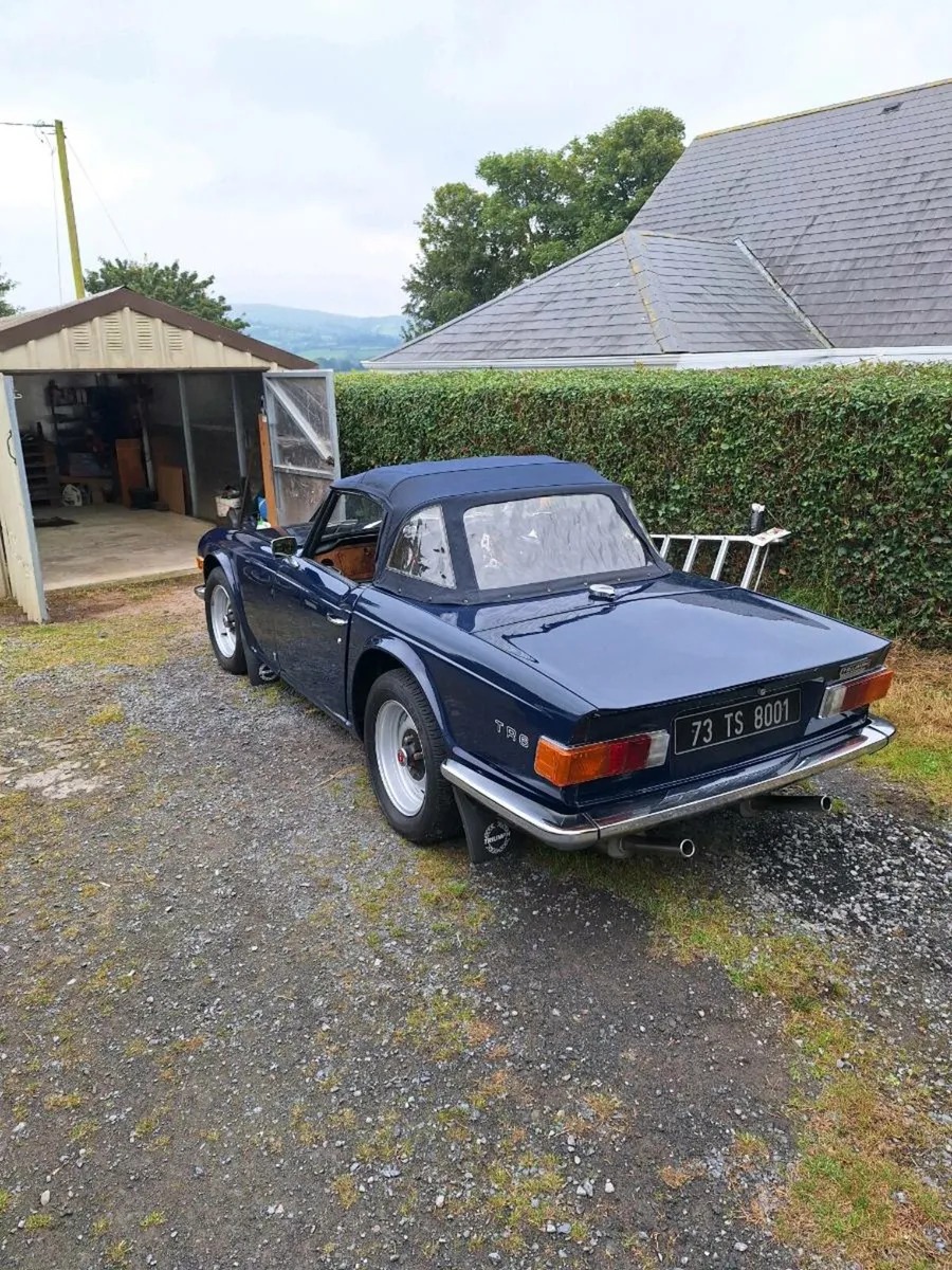 Triumphtr6 - Image 2