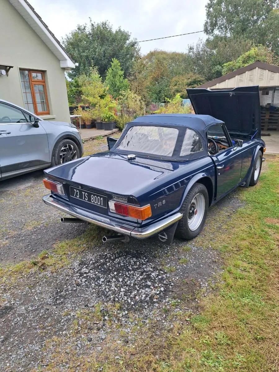 Triumphtr6 - Image 3