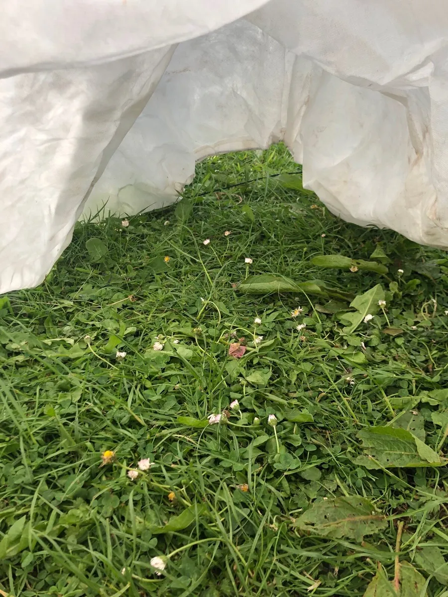 Garden fleece covers - Image 2