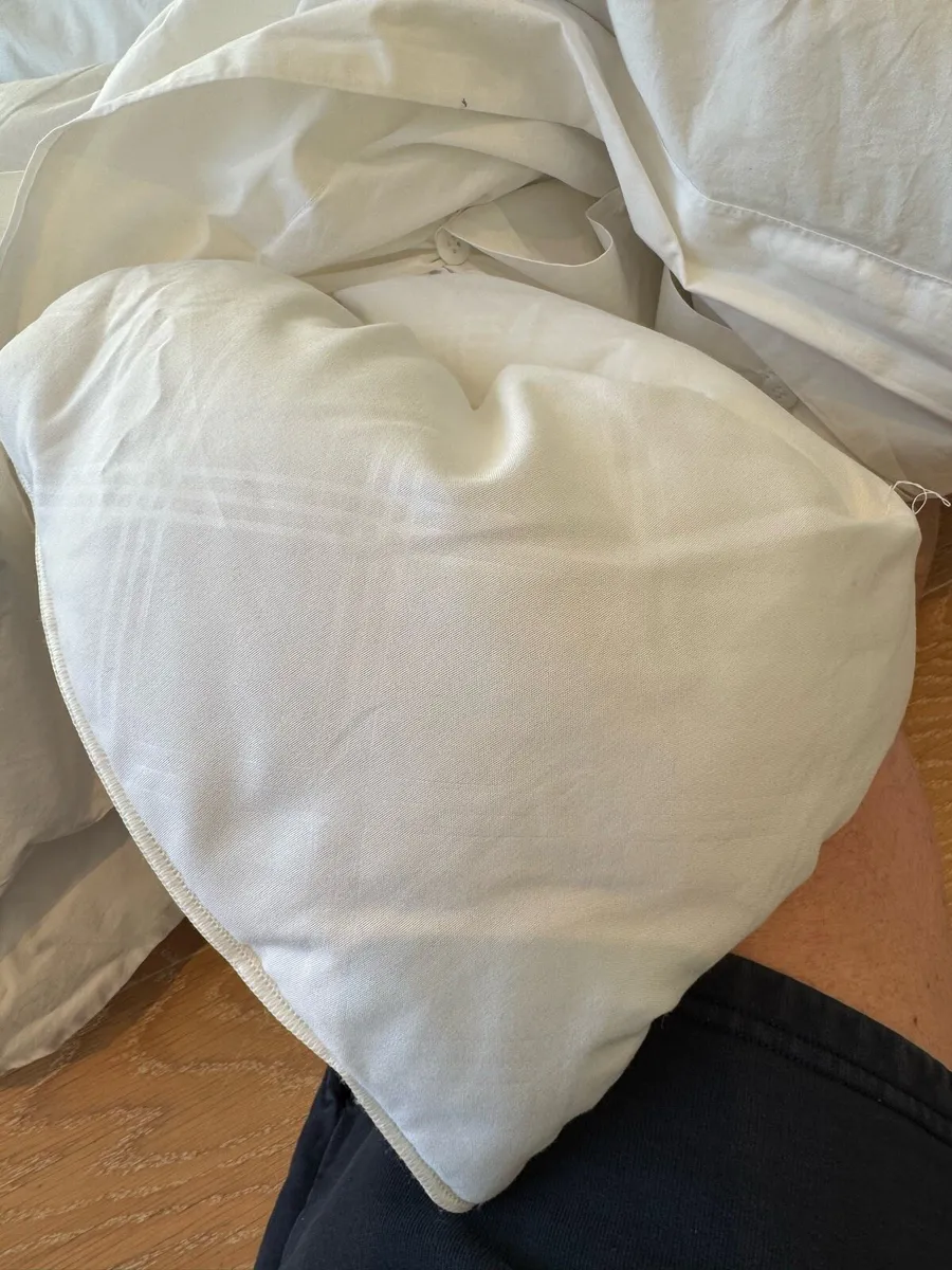 Duvet and Duvet cover Gently used - Image 3