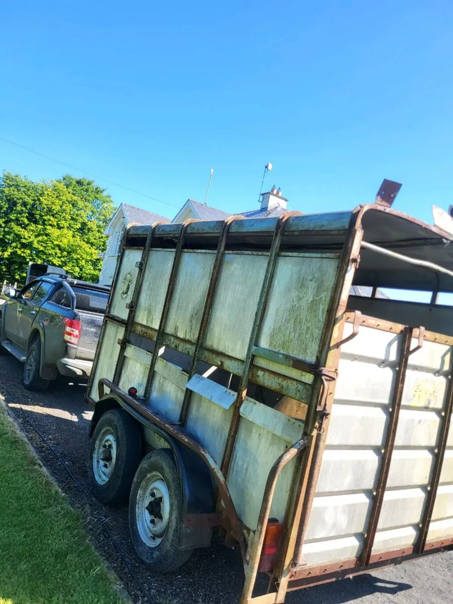 Cattle trailer-Maxwell - Image 2