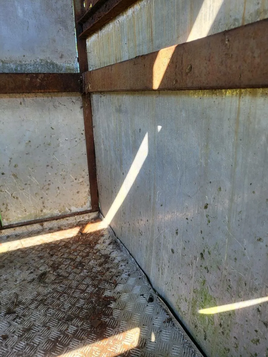 Cattle trailer-Maxwell - Image 4