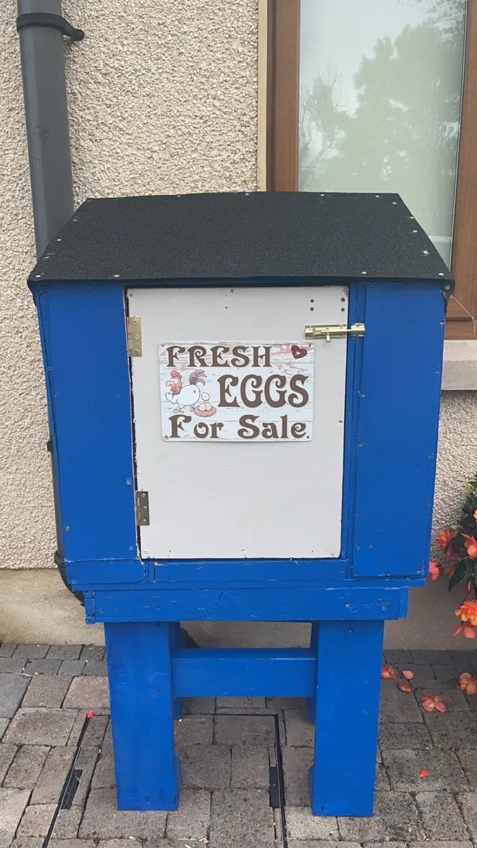 Egg honesty box - Image 1