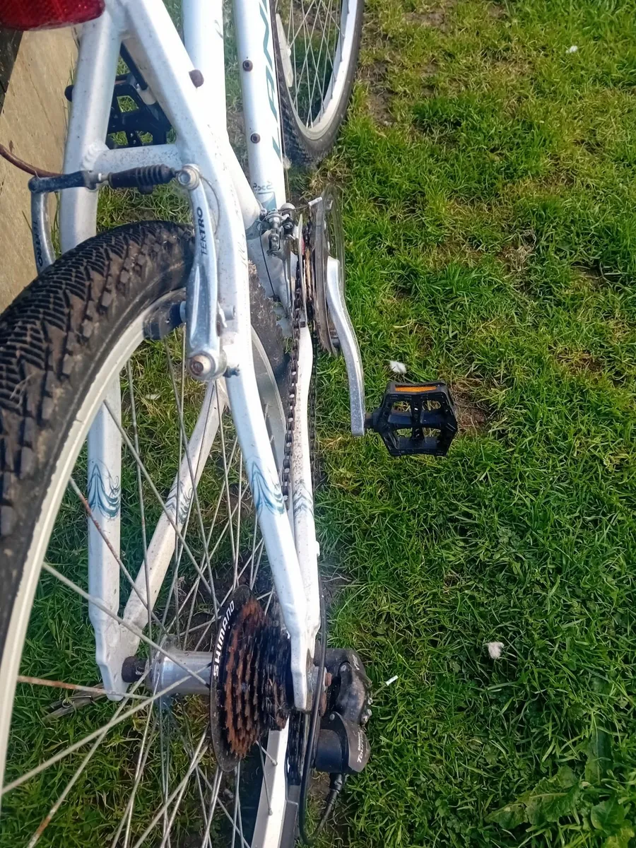 Ladies mountain bike - Image 4