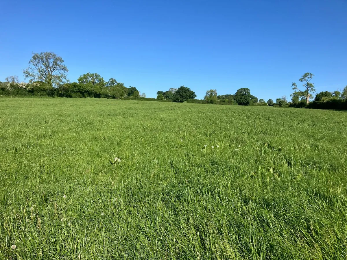 First Cut Silage - Image 4