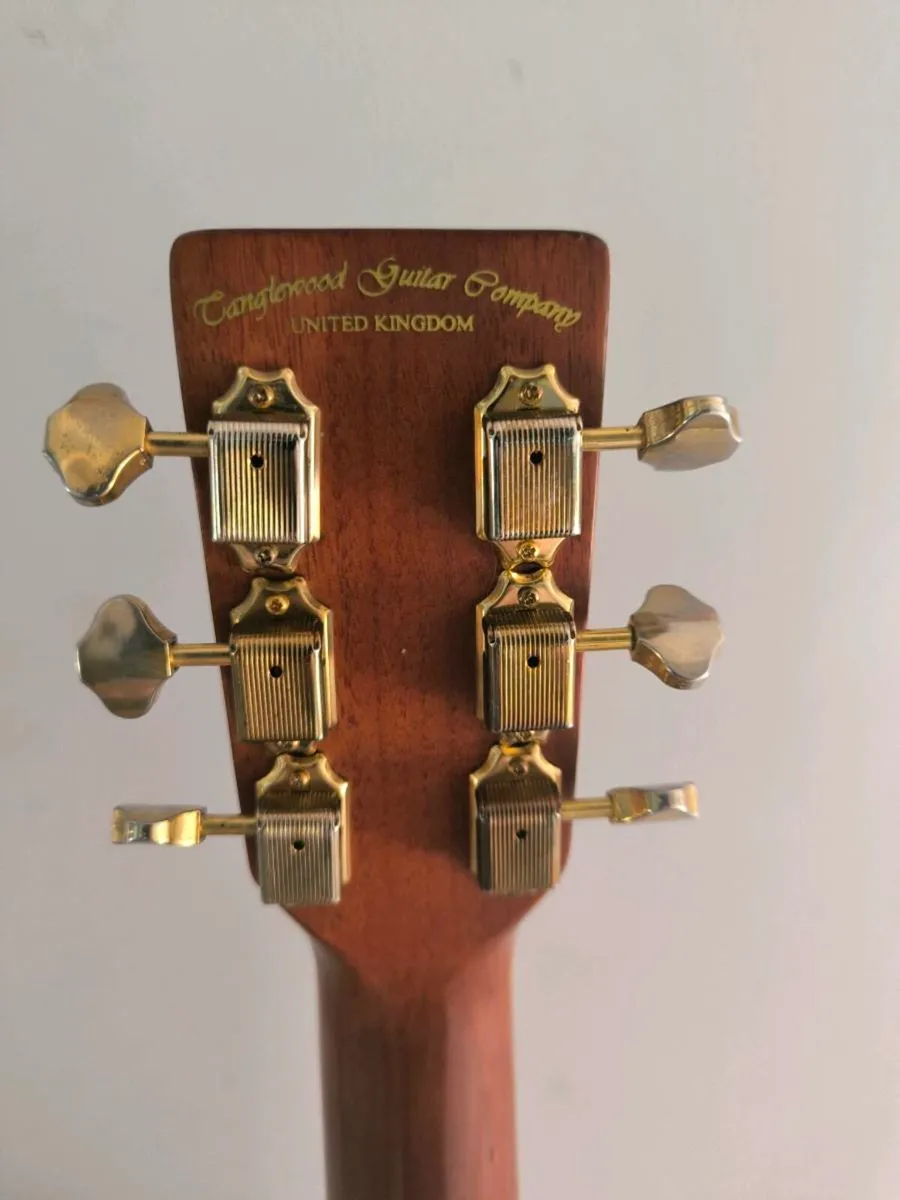 Tanglewood lefty - Image 3
