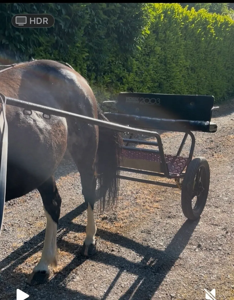 Road cart - Image 1