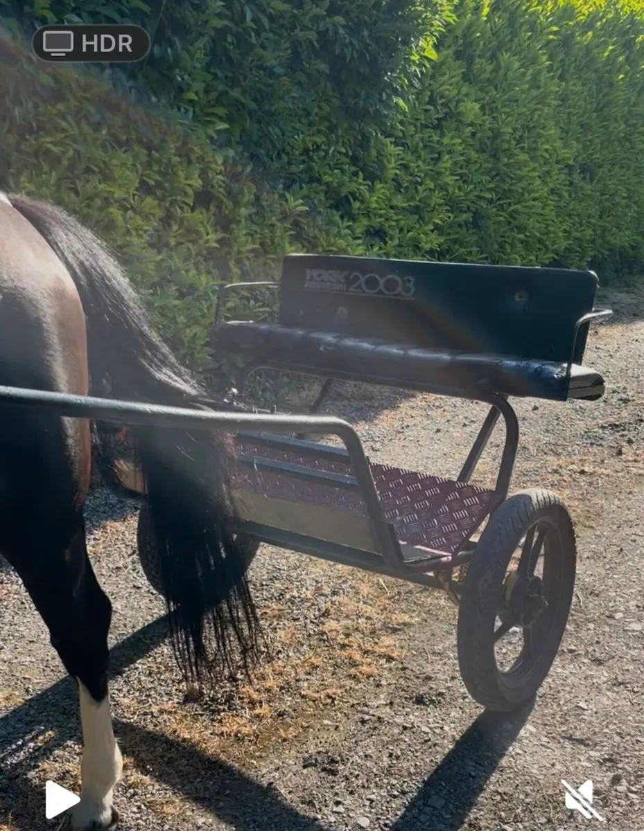 Road cart - Image 3