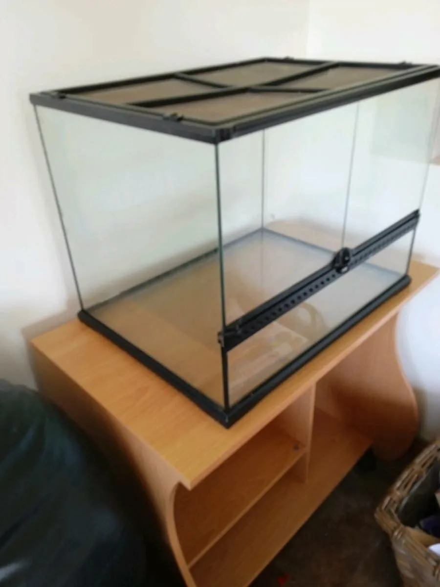 Large turtle terrarium - Image 1
