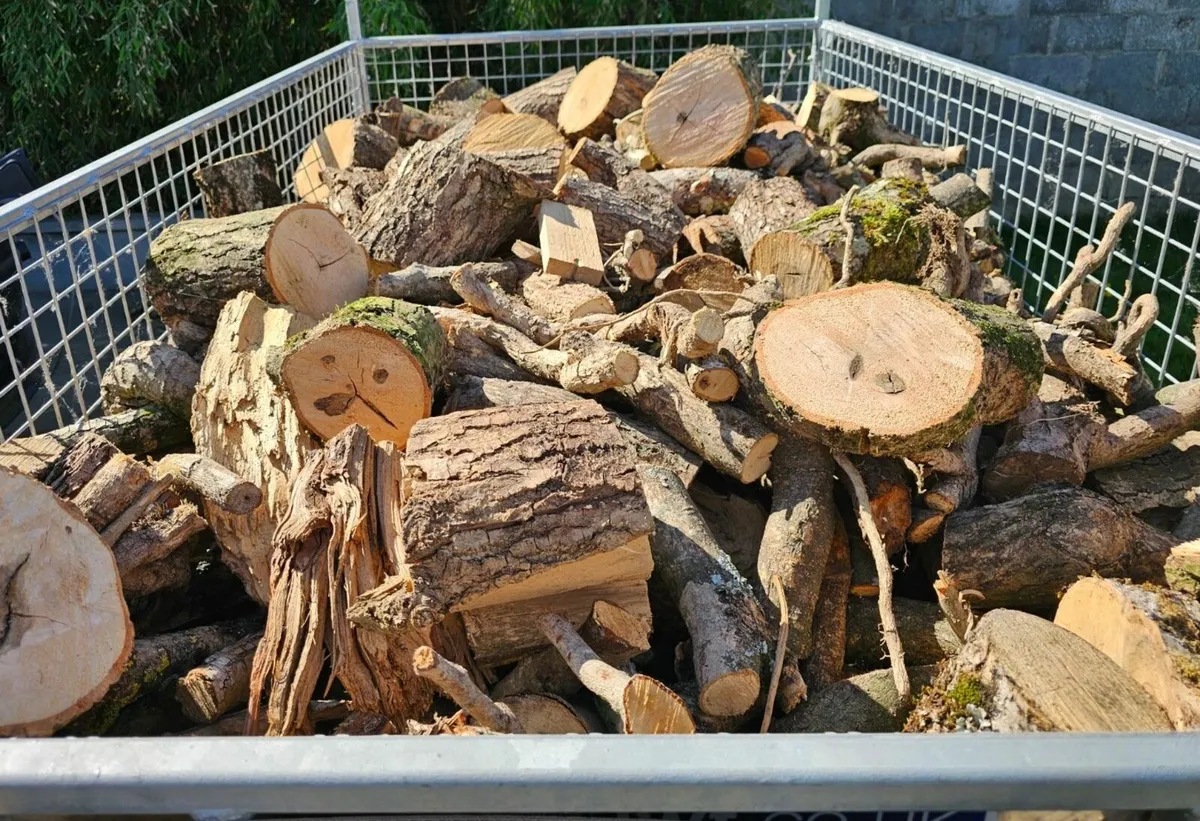 Firewood - Image 2