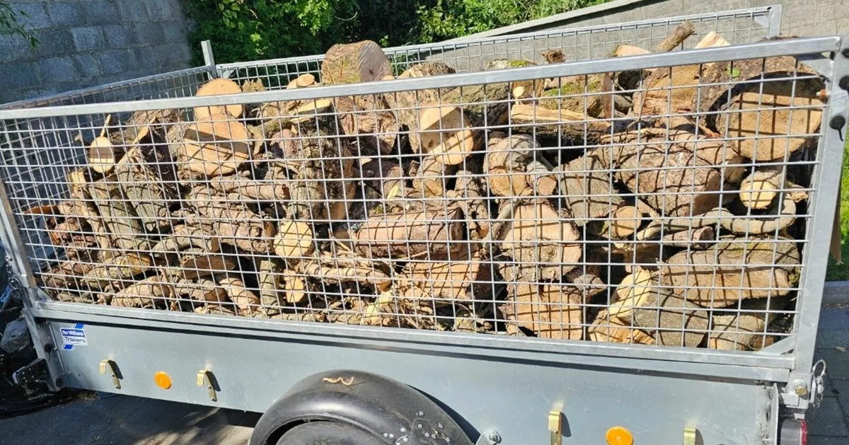 Firewood - Image 1