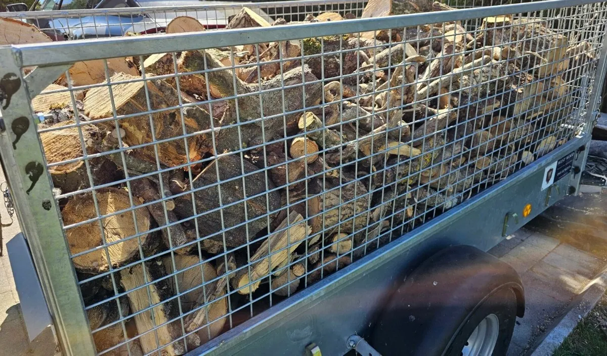 Firewood - Image 3