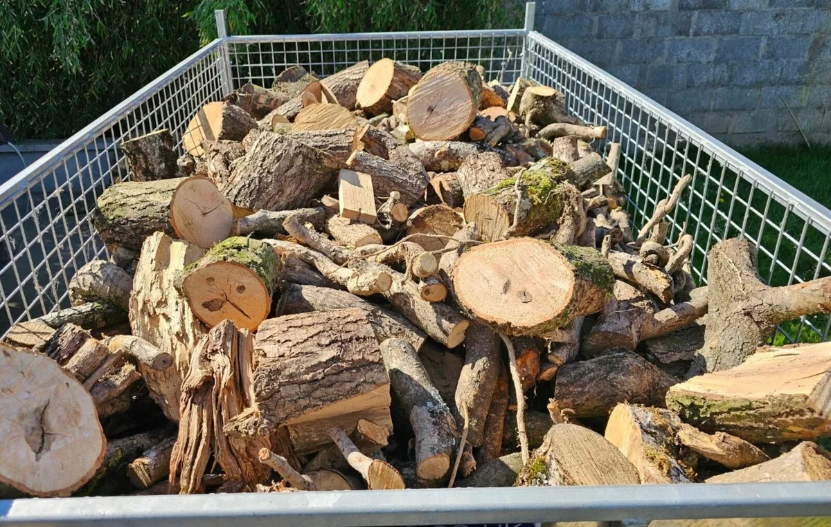 Firewood - Image 4