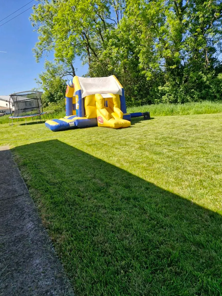 Bouncing castel - Image 3