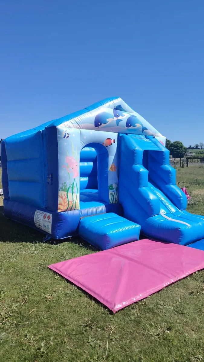 Bouncy Castle Hire - Image 3