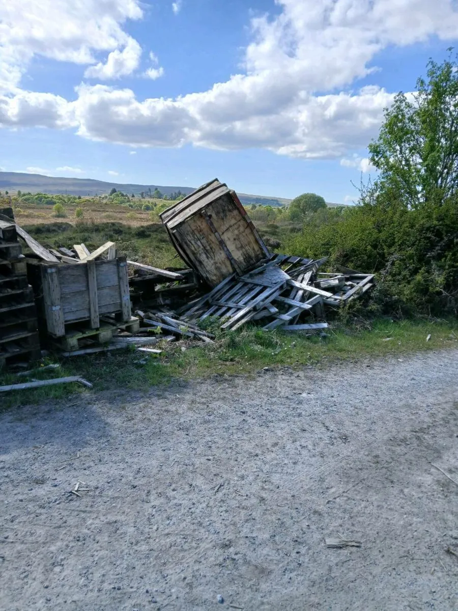Pallets good and broken - Image 2