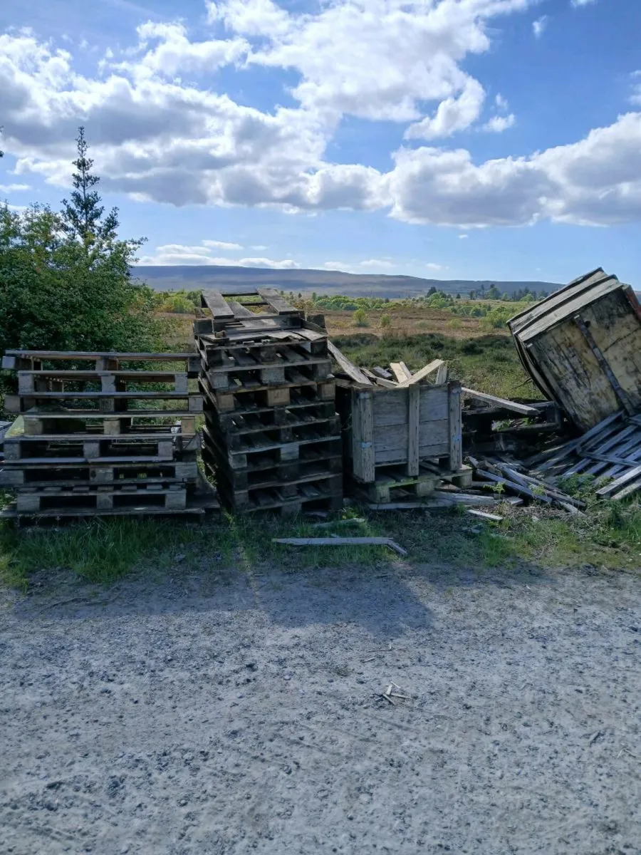 Pallets good and broken - Image 3