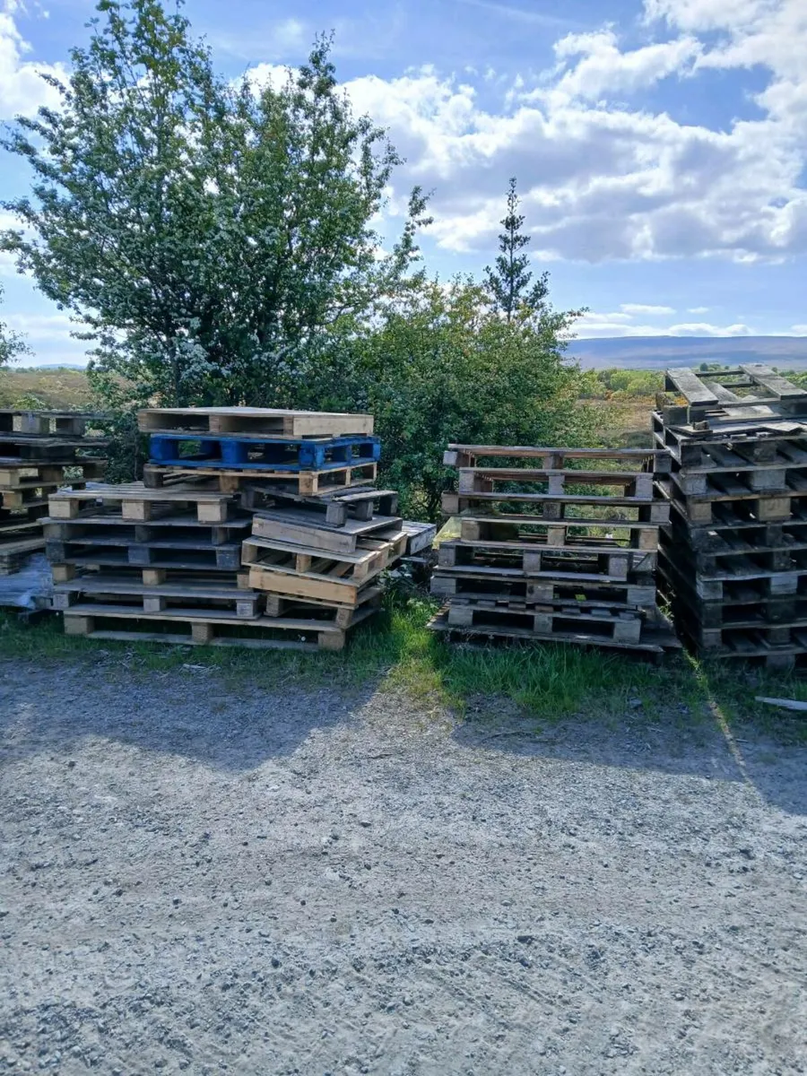 Pallets good and broken - Image 4