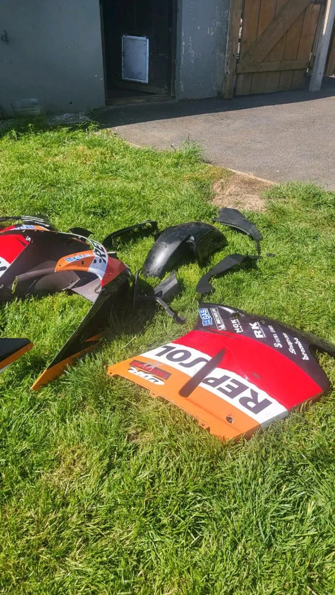 Honda Blackbird fairings - Image 1