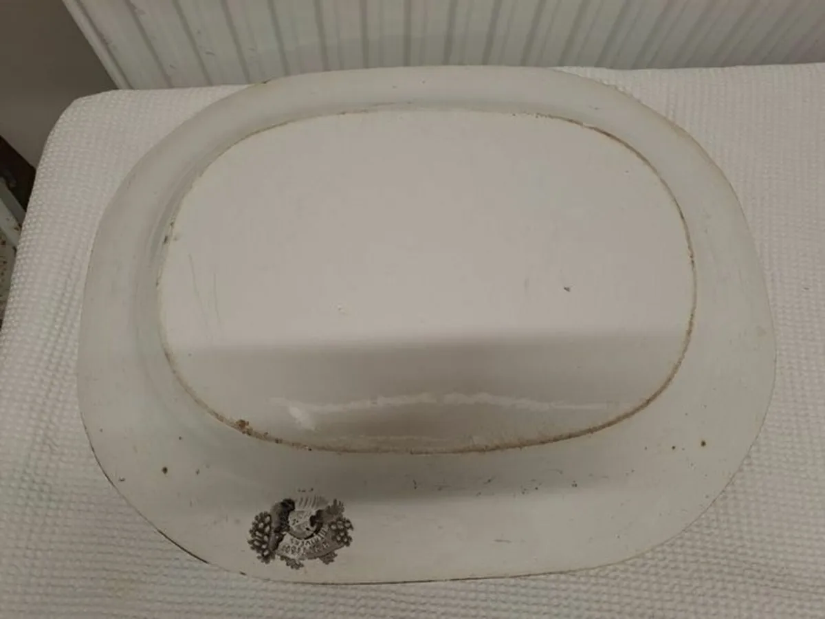 Victorian turkey serving platter brown and white - Image 2