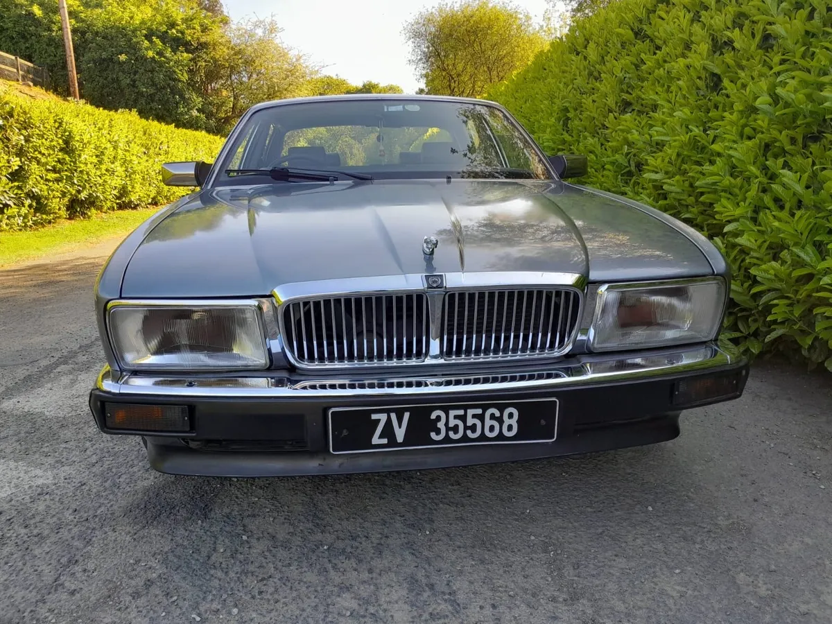 JAGUAR - Image 2