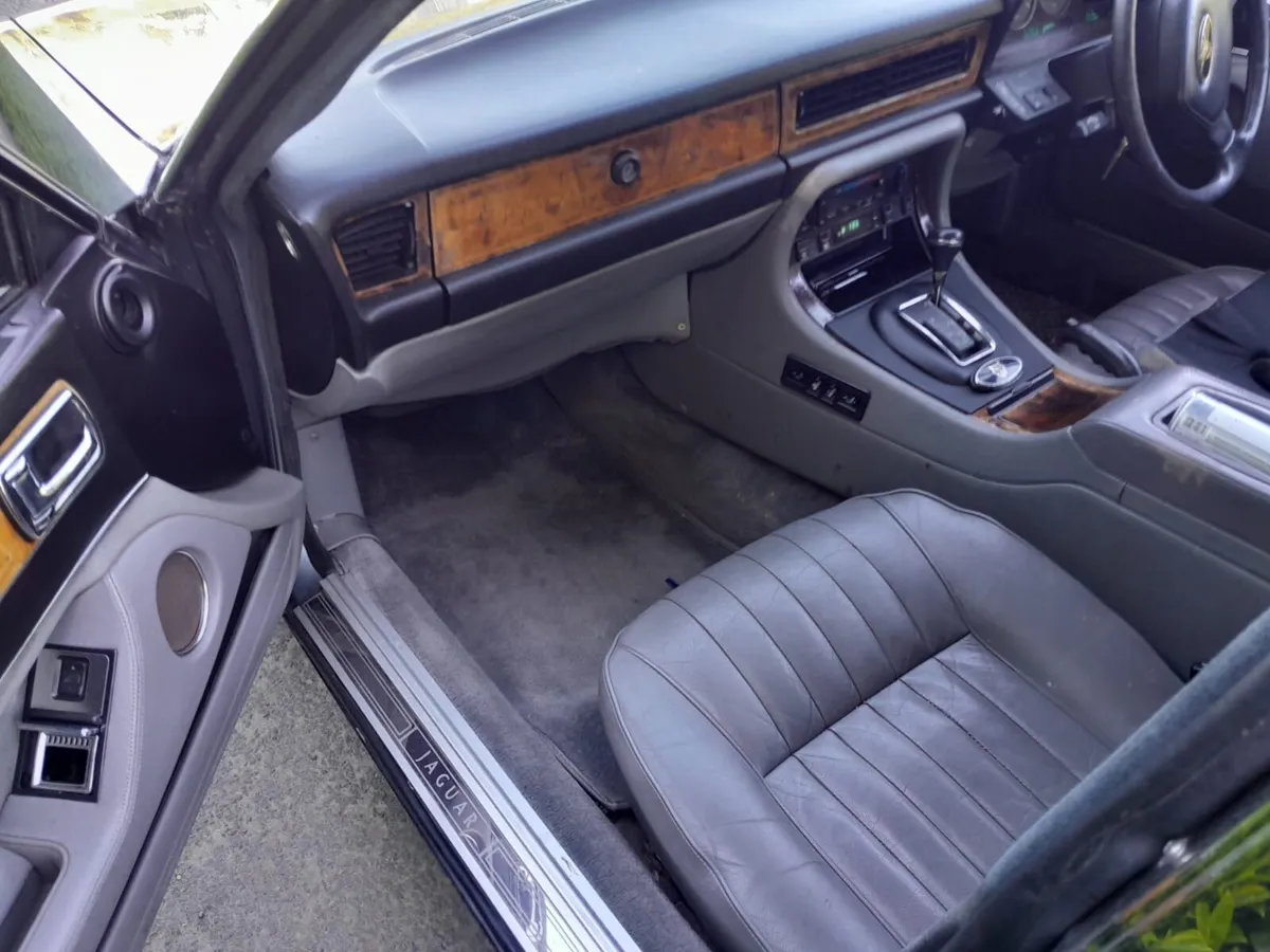JAGUAR - Image 4