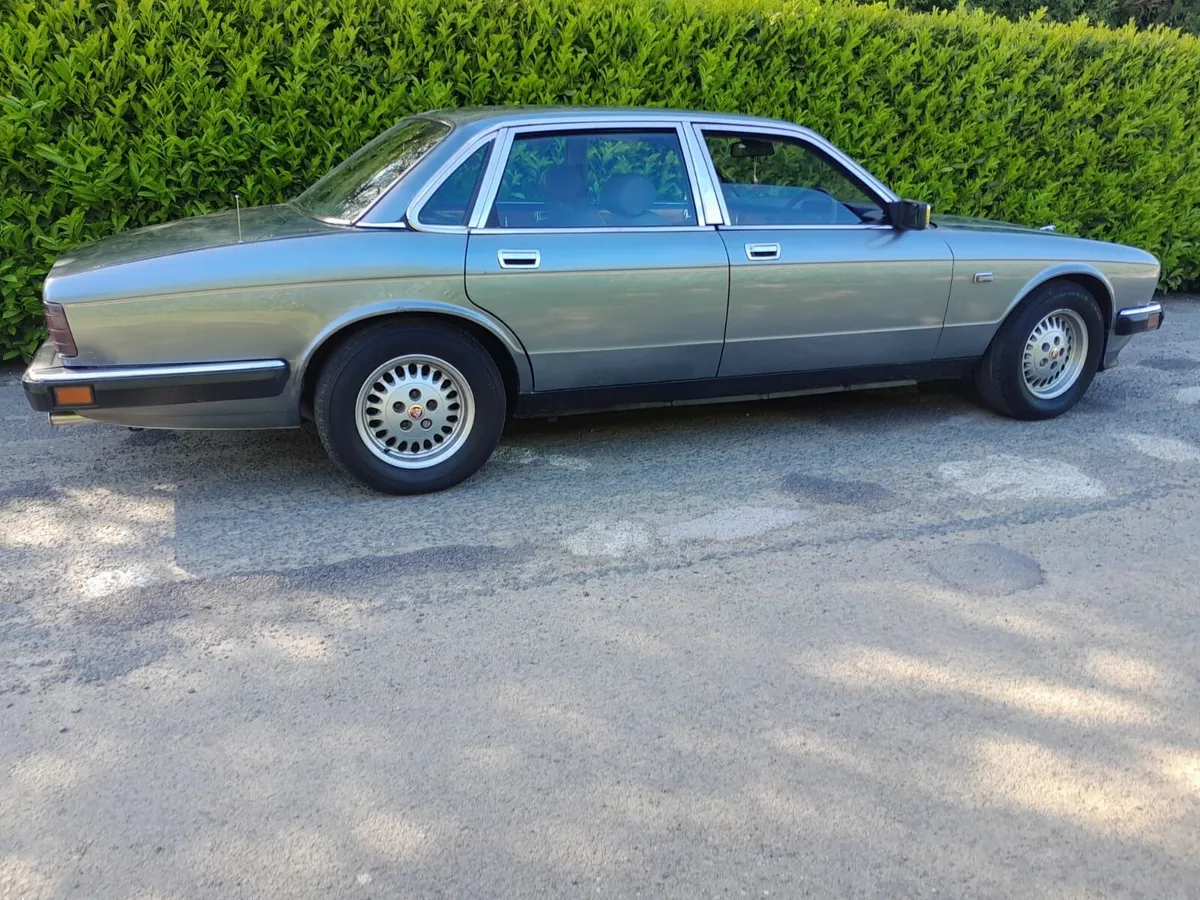 JAGUAR - Image 1