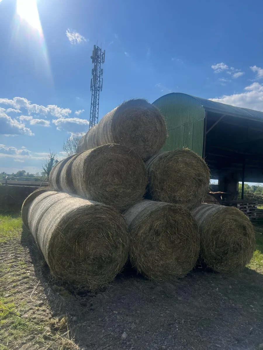 Bales of Bedding Rushes