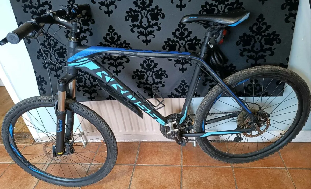 Bike - Image 2