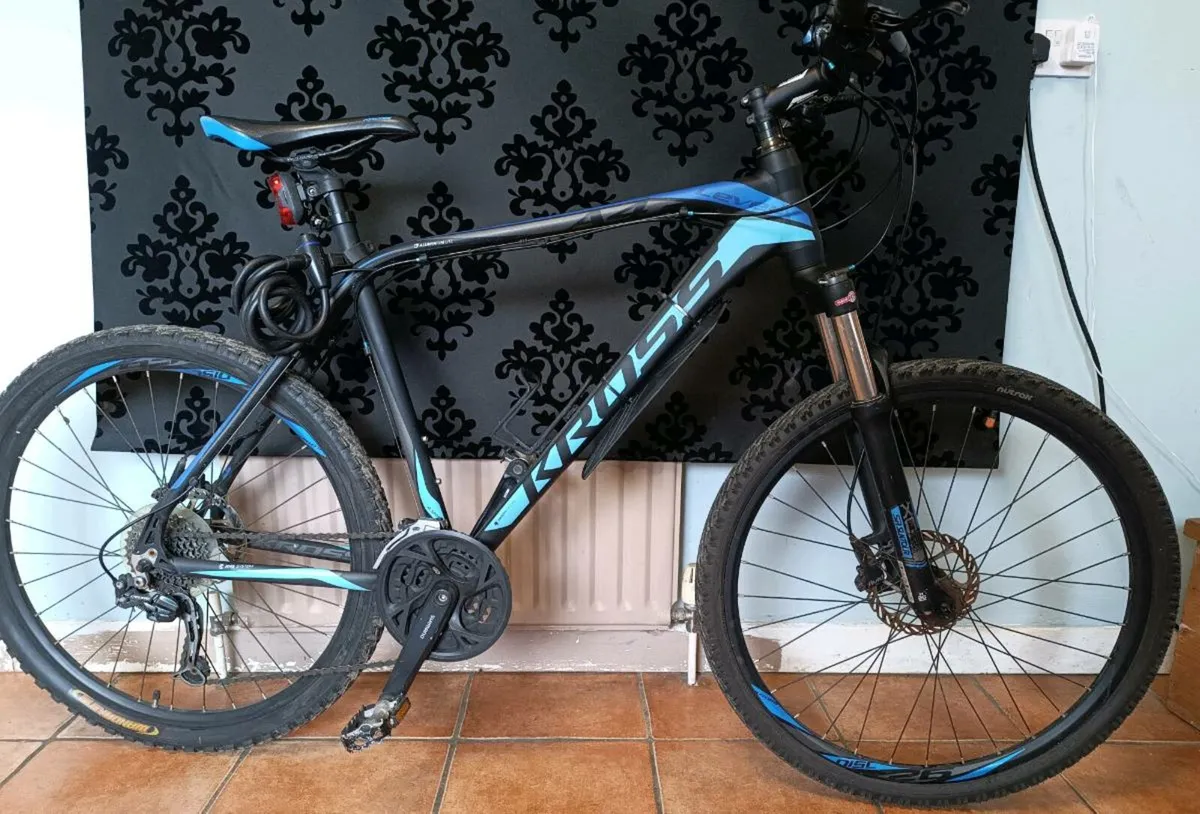 Bike - Image 1