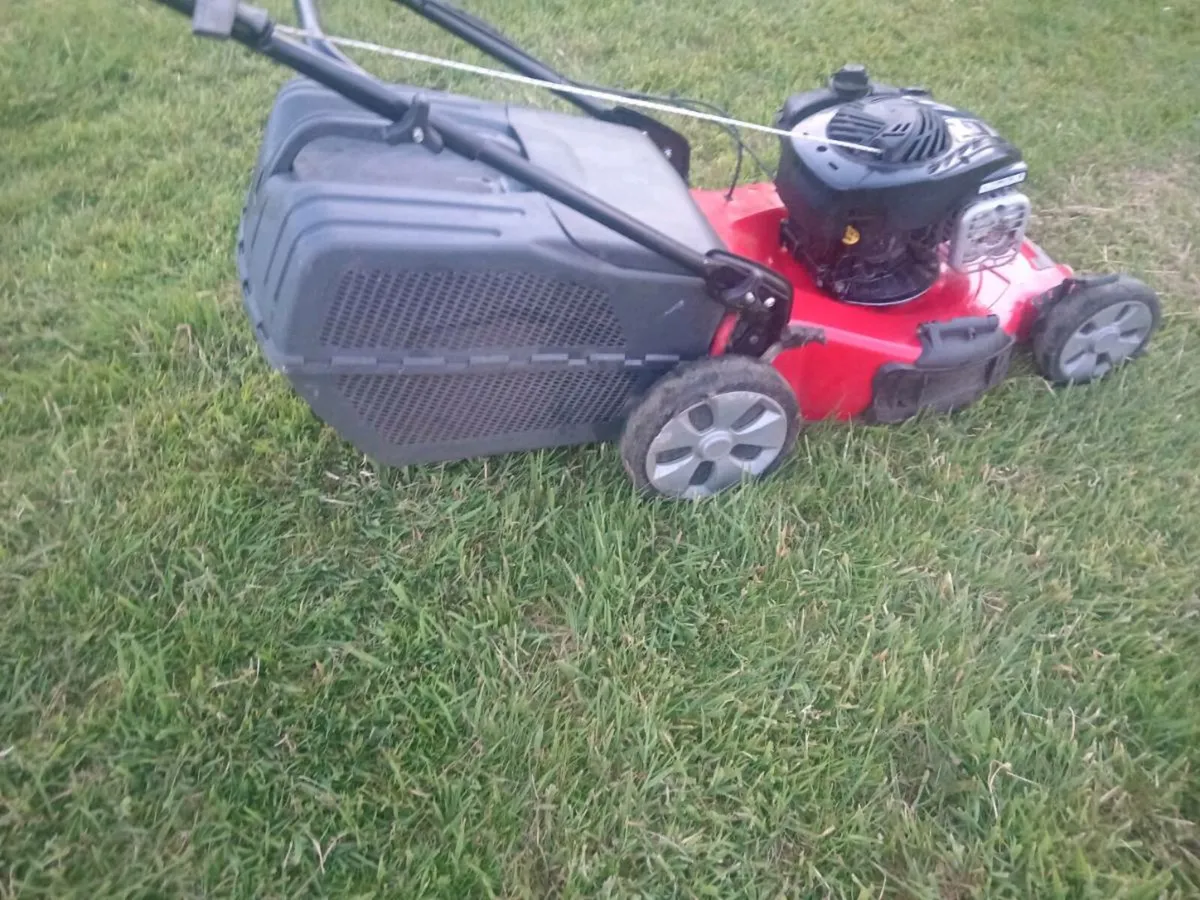 Lawnmowers - Image 4