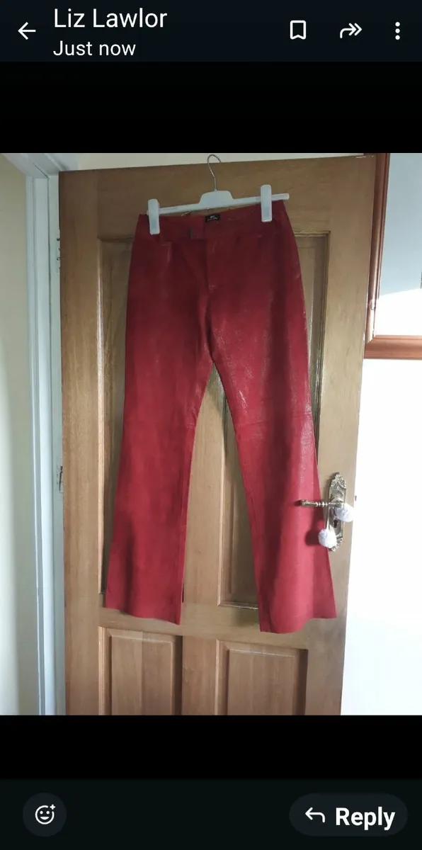 ladies leather trouse size 10 - Image 1