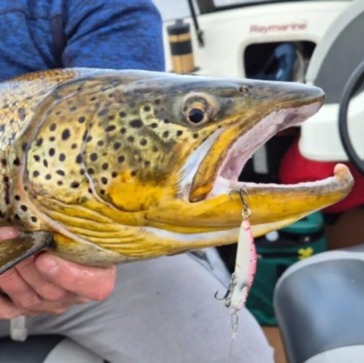 Trout Lures - Image 1