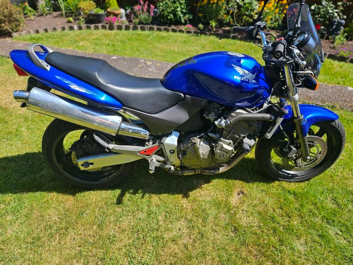 Honda hornet 600 - Image 1