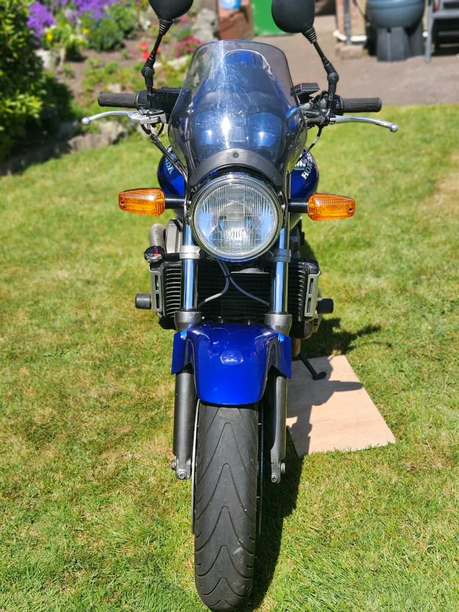 Honda hornet 600 - Image 2