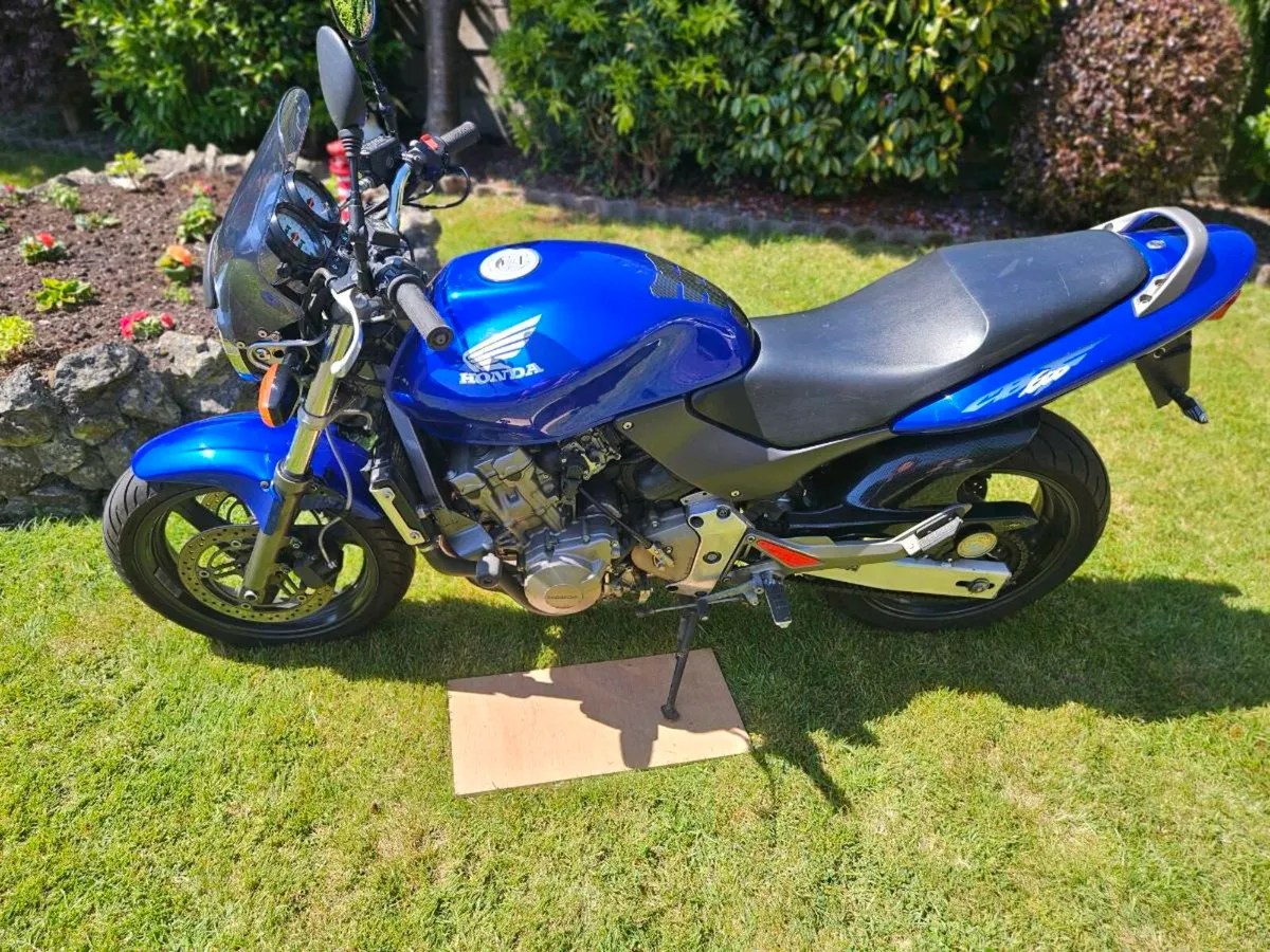 Honda hornet 600 - Image 3