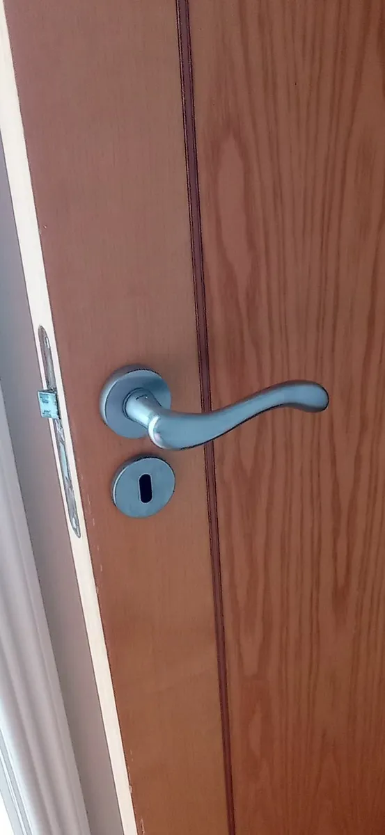 Inerior door - Image 3