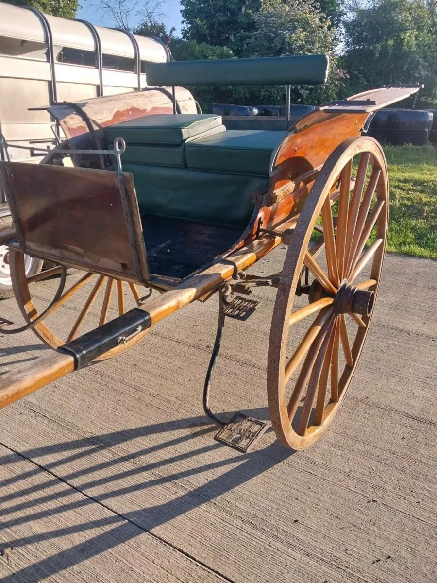 GIG FOR SALE - Image 1