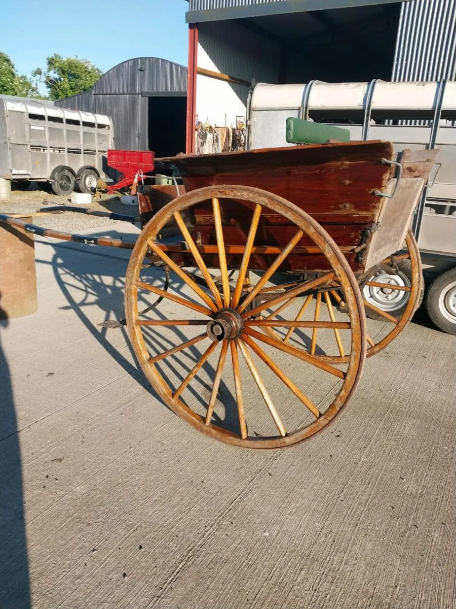 GIG FOR SALE - Image 3