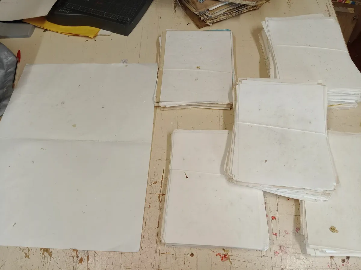 Blotting Paper - Image 2