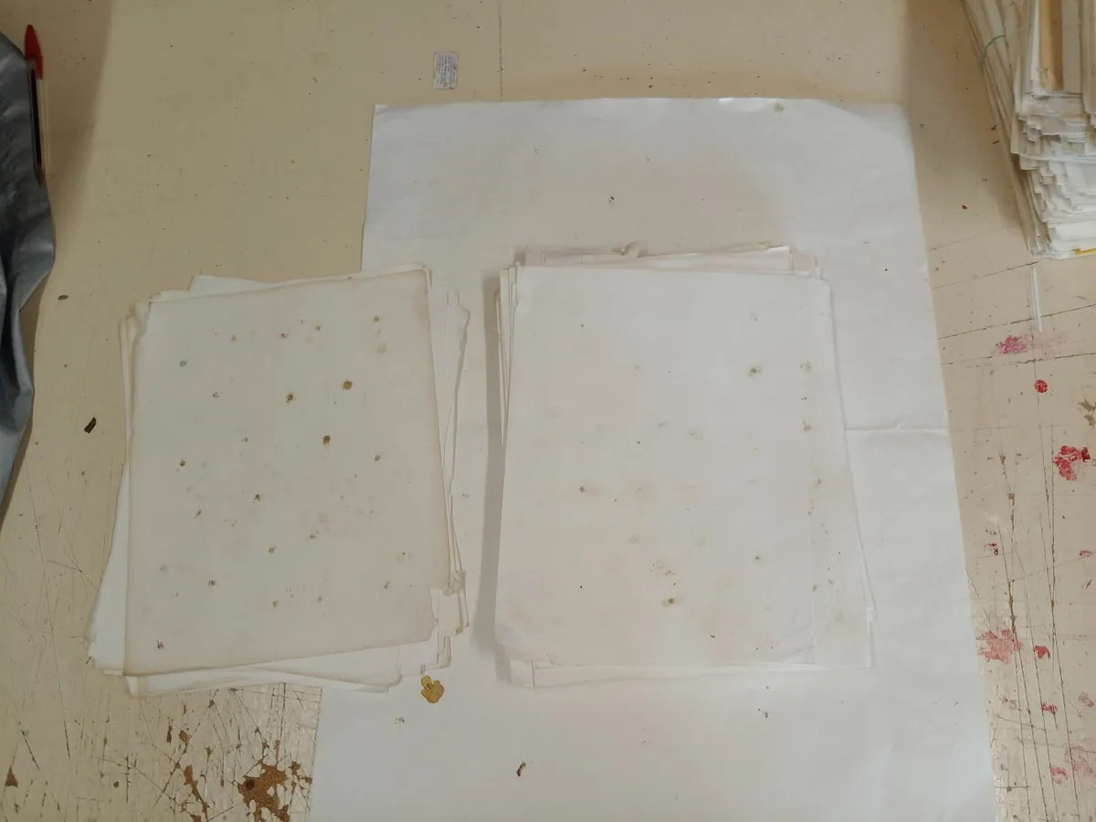 Blotting Paper - Image 3