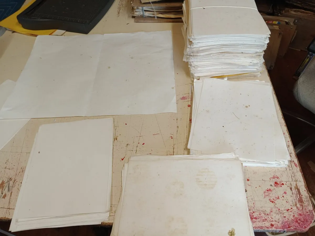 Blotting Paper - Image 4